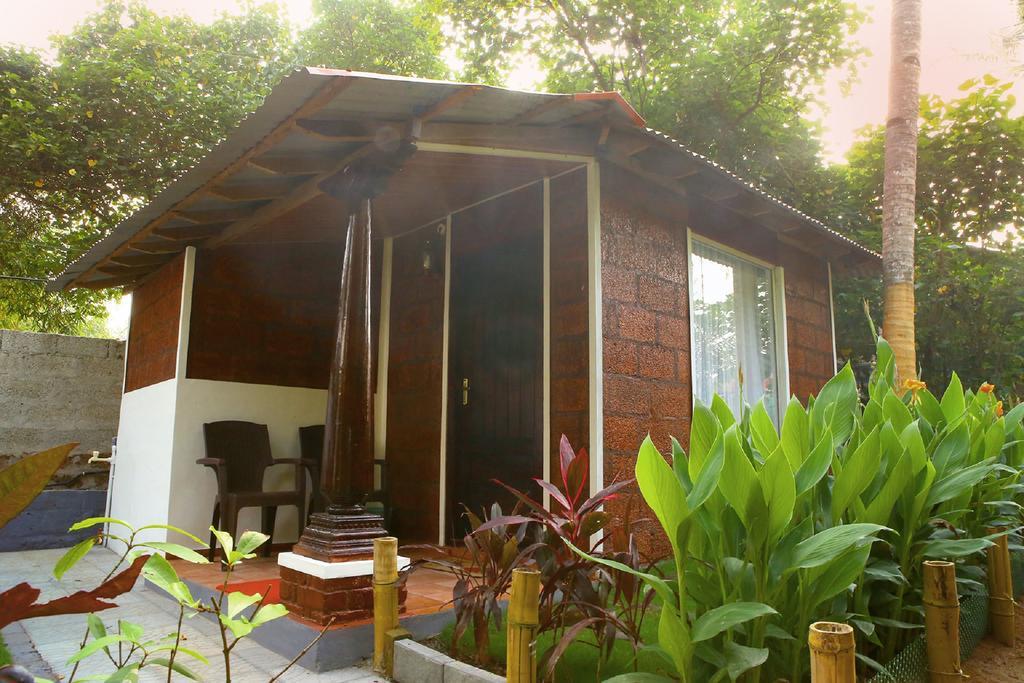 Dolphin Bay Hotel Varkala Zewnętrze zdjęcie